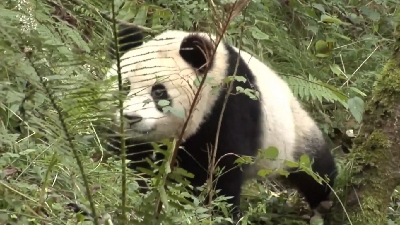 Pada akhir tahun lalu