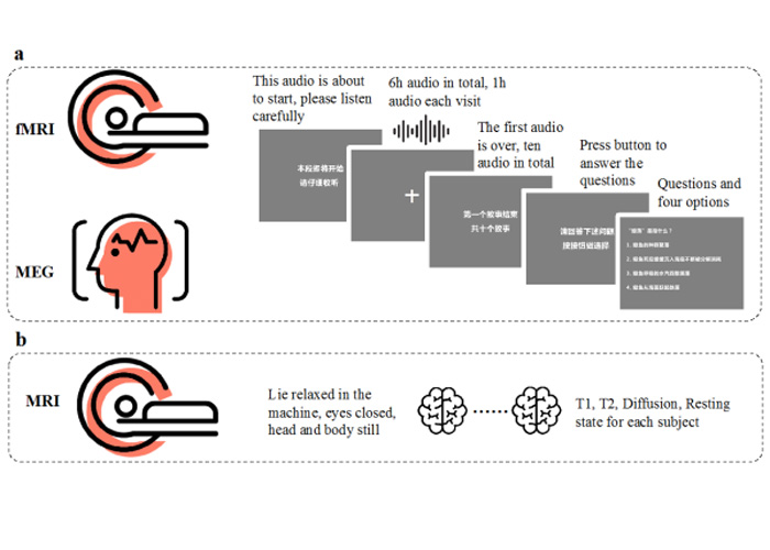 para peneliti Tiongkok telah mempresentasikan dataset neuroimaging multimodal yang disinkronkan