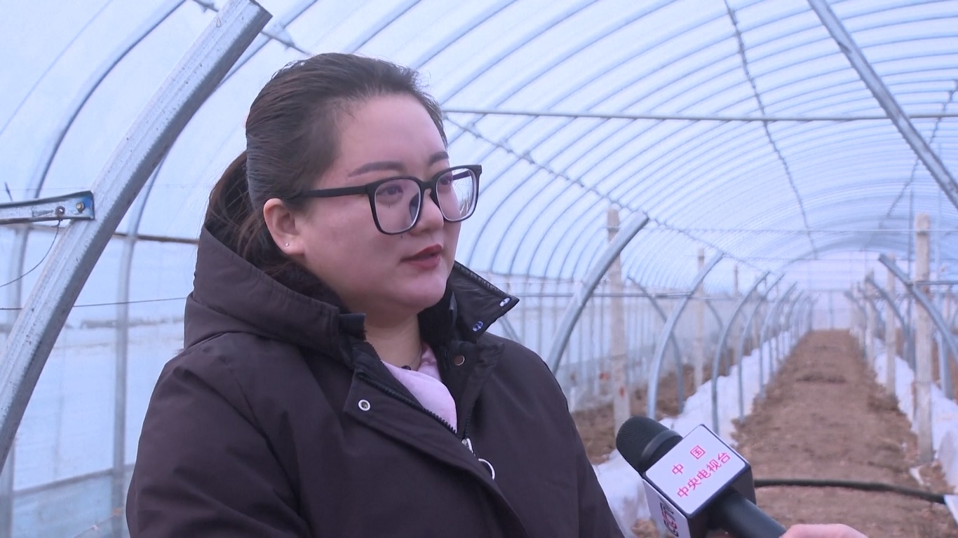 Setelah menyelesaikan pendidikan universitasnya