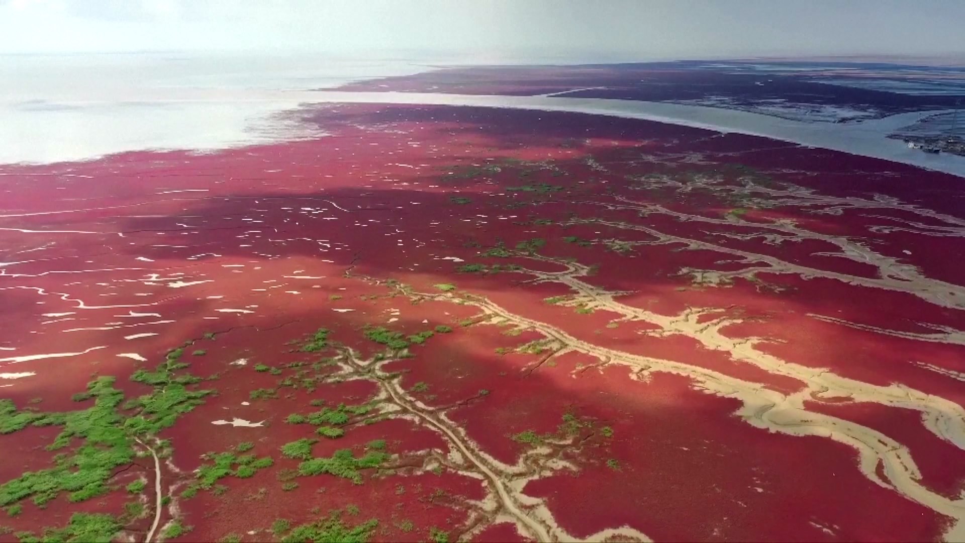 Dataran lumpur merah