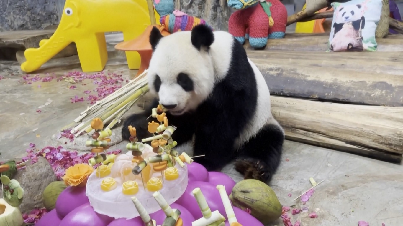 Warga dan pengunjung mengungkapkan harapan tulus mereka kepada panda-panda tersebut dengan menulis kartu ucapan