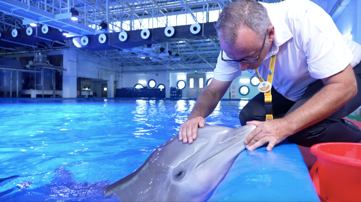 Naya, Lumba Lumba Hidung Botol Yang Menginspirasi Ilmuwan