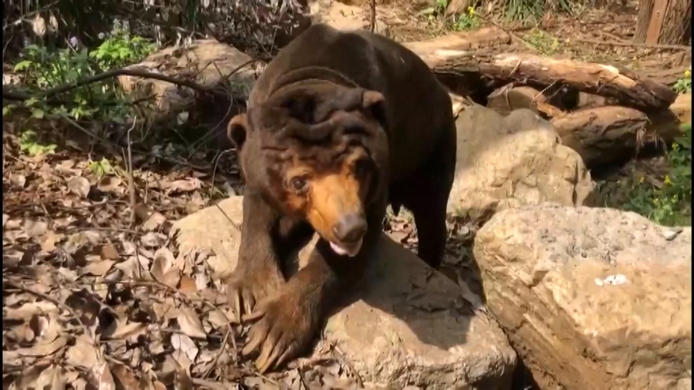 Para staf berharap kebun binatang tidak hanya menjadi tempat bagi orang untuk berkunjung dan belajar