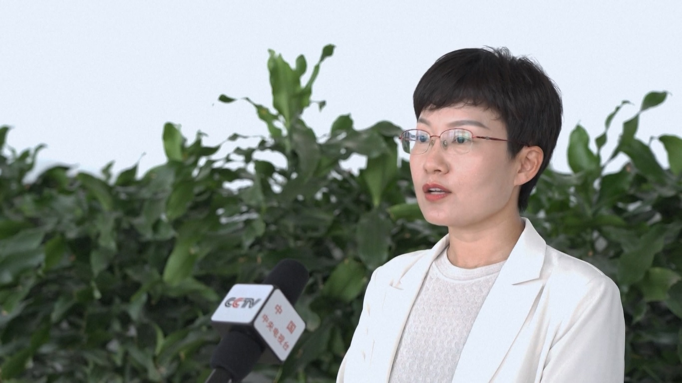 Arus mudik musim panas biasanya merupakan musim yang sibuk bagi sistem kereta api Tiongkok karena mahasiswa pulang ke rumah dan banyak orang yang berlibur