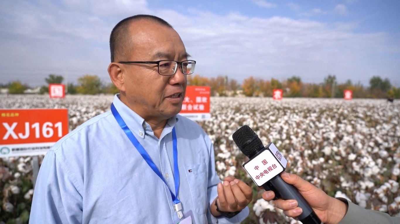 Varietas yang lebih baik ini disambut baik oleh konsumen dan petani