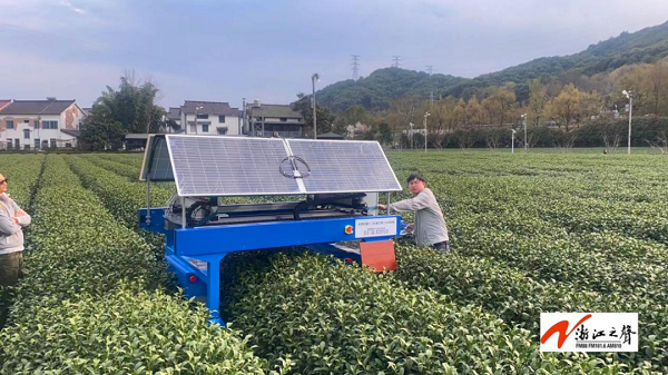 Robot yang digunakan sebagai pemetik teh ini menggunakan dua lengan mekanis untuk bergerak maju-mundur saat mencari pucuk teh