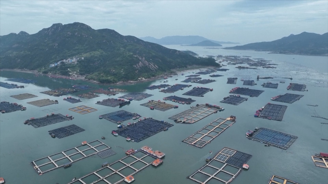 Perekonomian laut Fujian mencapai 140 miliar dolar AS (sekitar 2