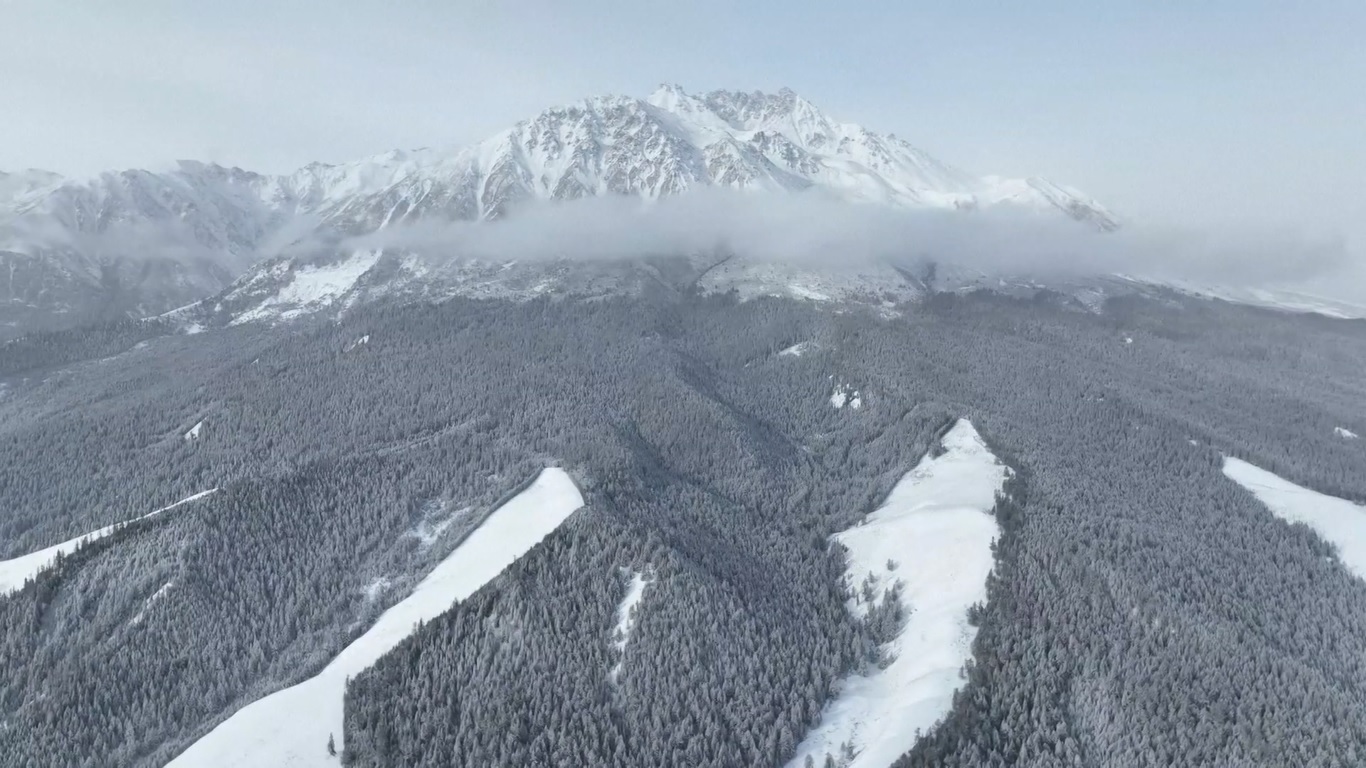 Gelombang dingin ini membawa berbagai macam salju dan hujan lebat yang akan mempengaruhi kesibukan perjalanan Festival Musim Semi yang sedang berlangsung