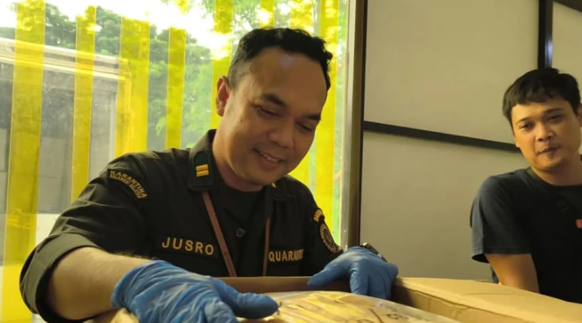 Ikan Terbang Sulawesi Selatan Diekspor ke Tiongkok