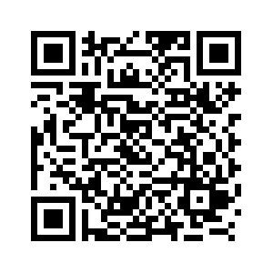 Tiongkok siap bekerja sama dengan Rusia untuk melaksanakan konsensus penting yang dicapai oleh kedua kepala negara