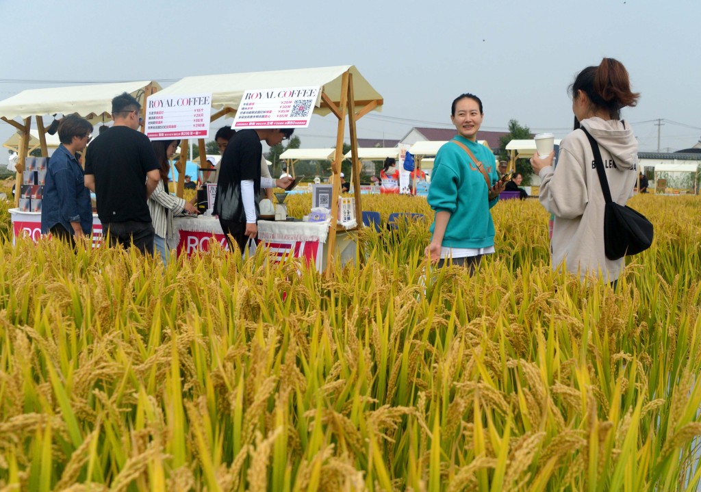 Mulai dari kopi dan makanan hingga pasar barang antik dan gerai mode festival musik diadakan di sawah pedesaan di sebuah desa di luar Shanghai