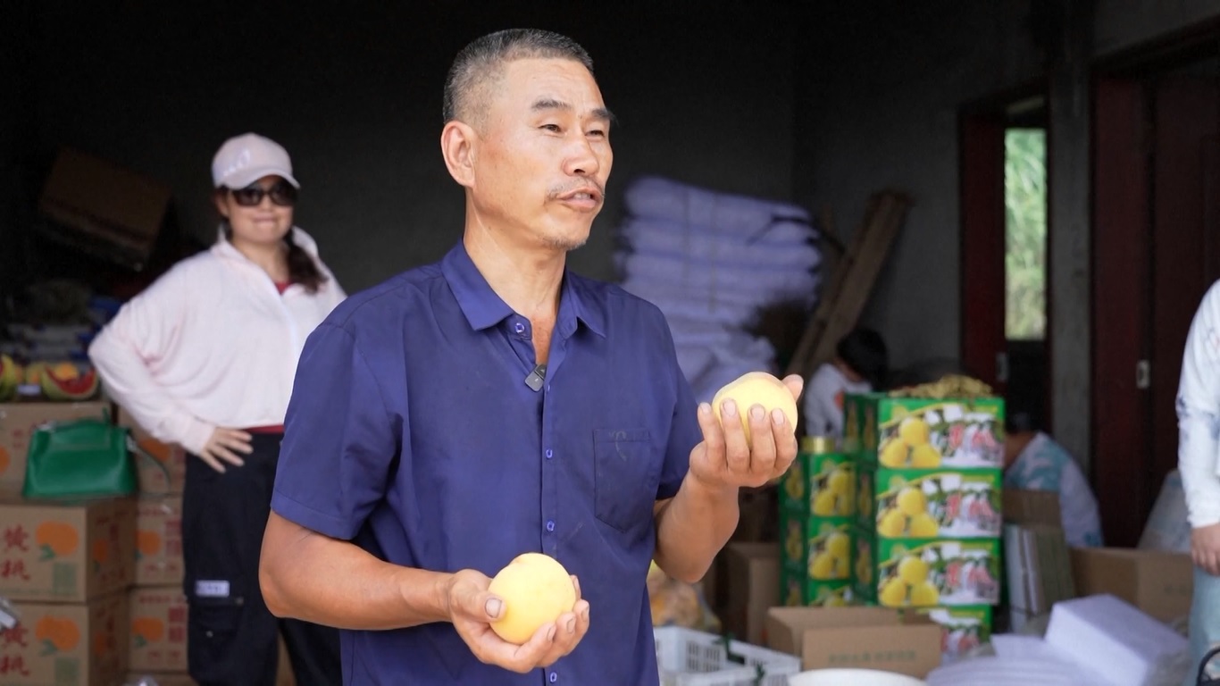 Provinsi Hunan dan Daerah Otonomi Guangxi Zhuang sedang mengalami panen raya buah persik kuning dan lengkeng segar