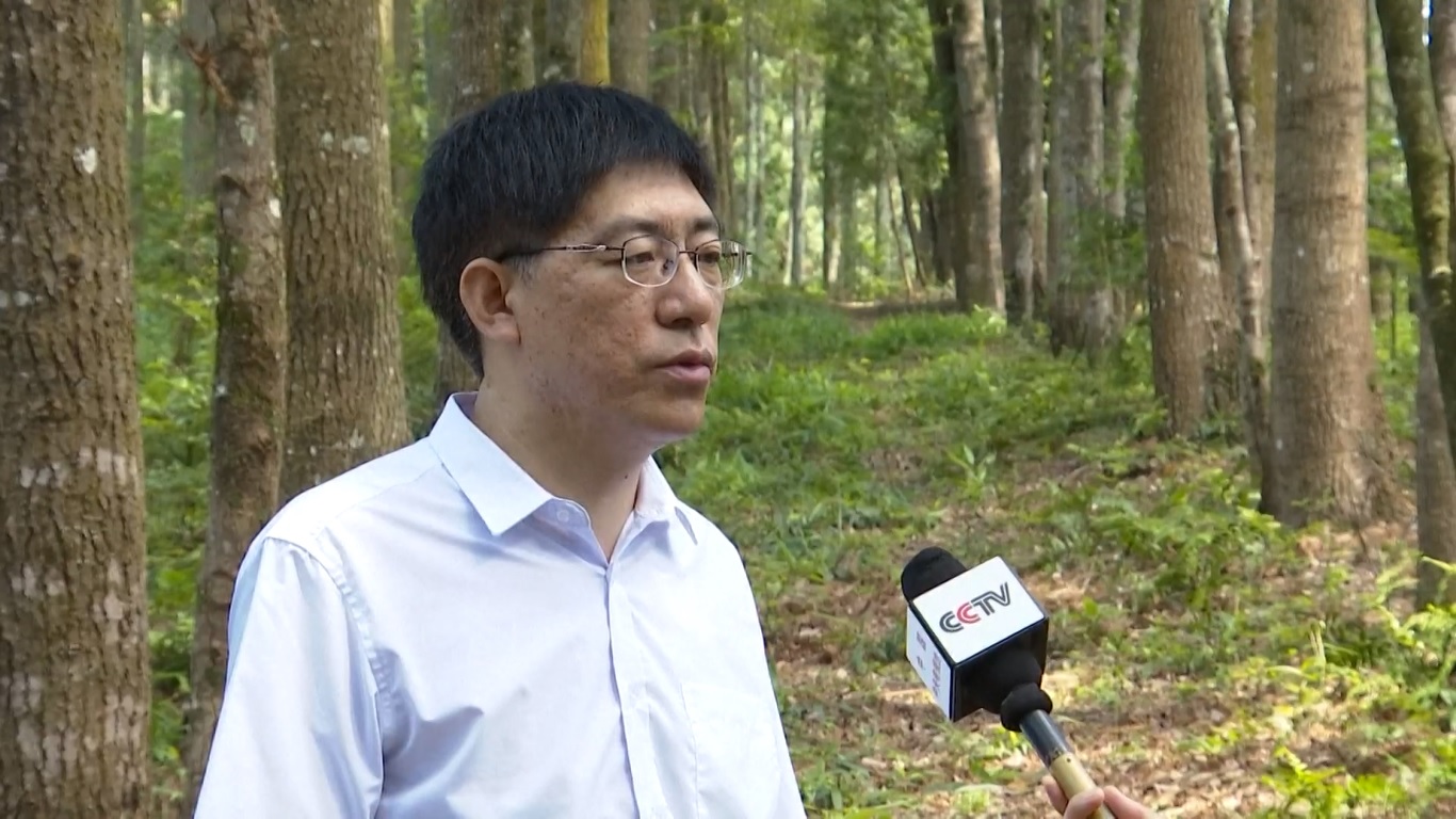 Pada awal tahun 2021