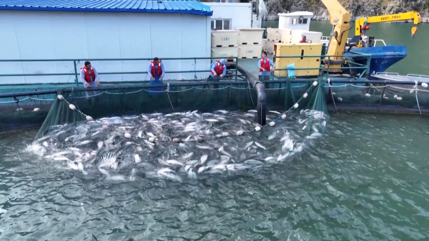 Sinar matahari yang panjang