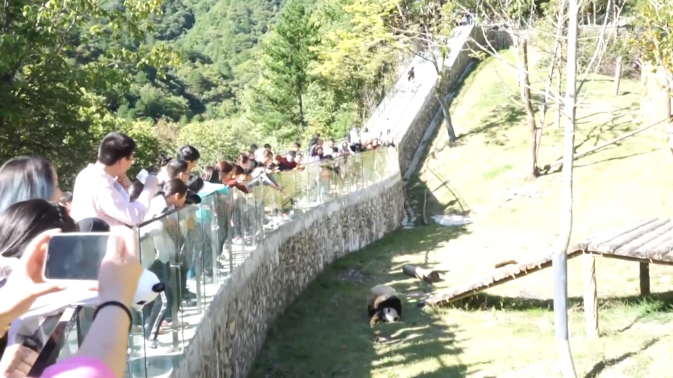 Di Foping Panda Base