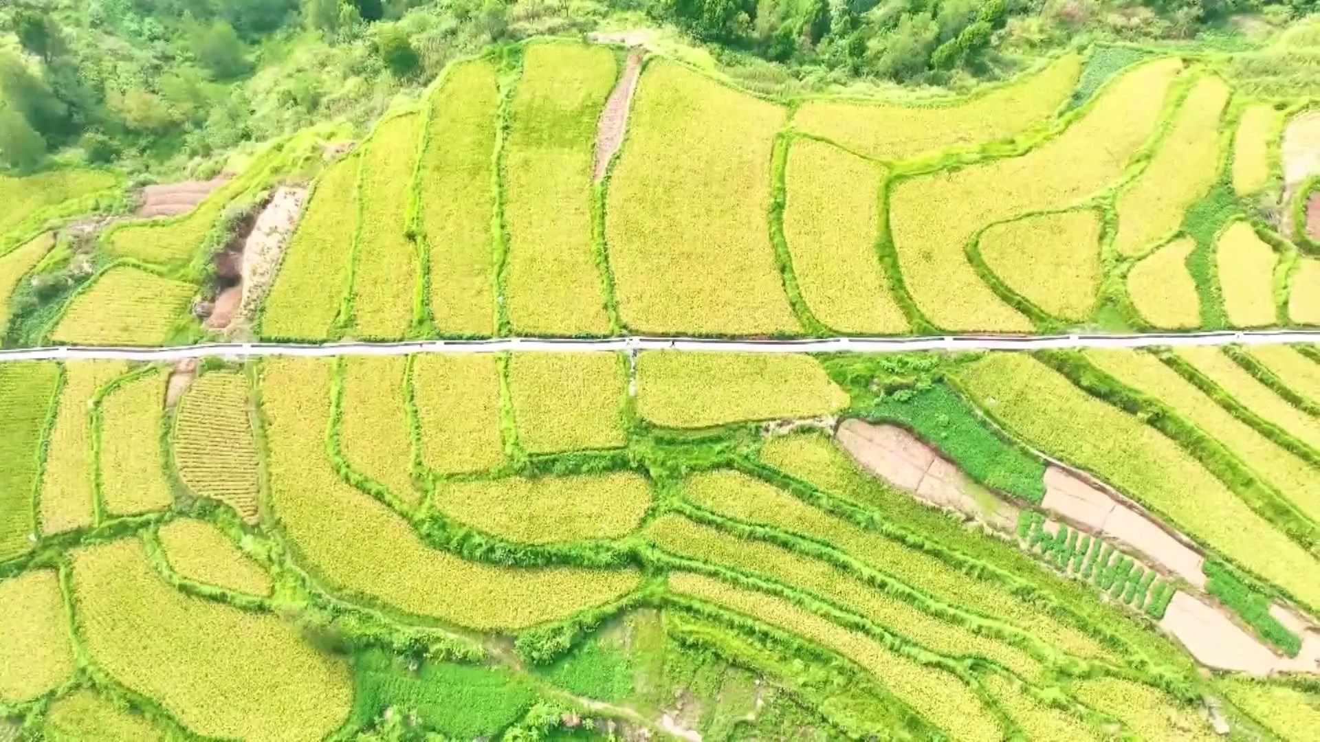 Tiongkok telah memulai babak baru tindakan untuk meningkatkan produksi biji-bijiannya secara signifikan di tahun-tahun mendatang