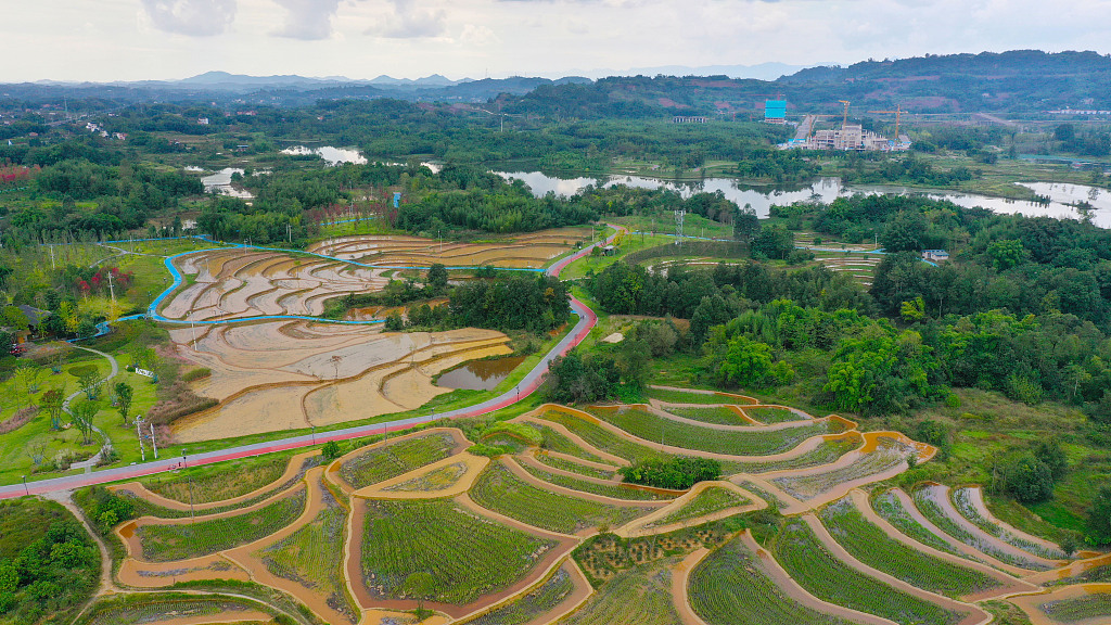 Presiden Tiongkok Xi Jinping baru-baru ini melakukan inspeksi ke kota Chongqing di bagian barat Tiongkok
