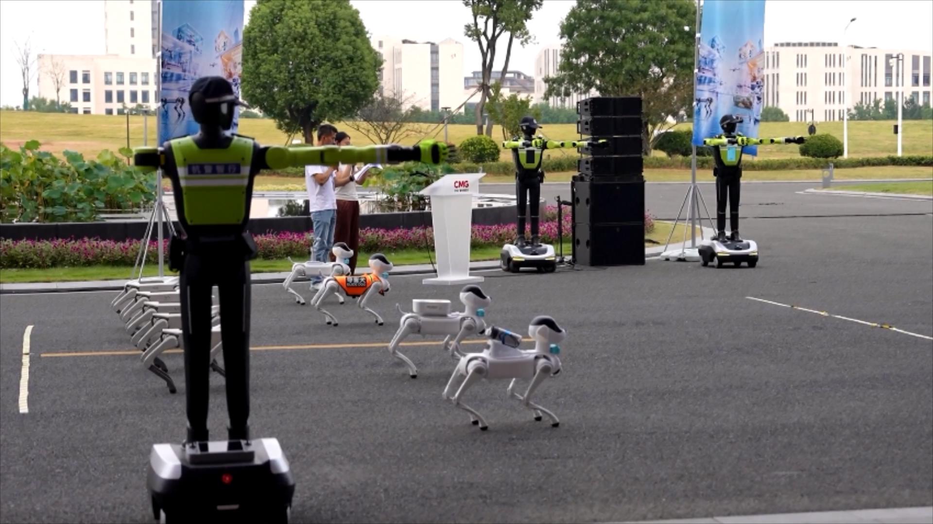 Pameran Keterampilan Aplikasi Robot Cerdas Dibuka di Tiongkok Timur