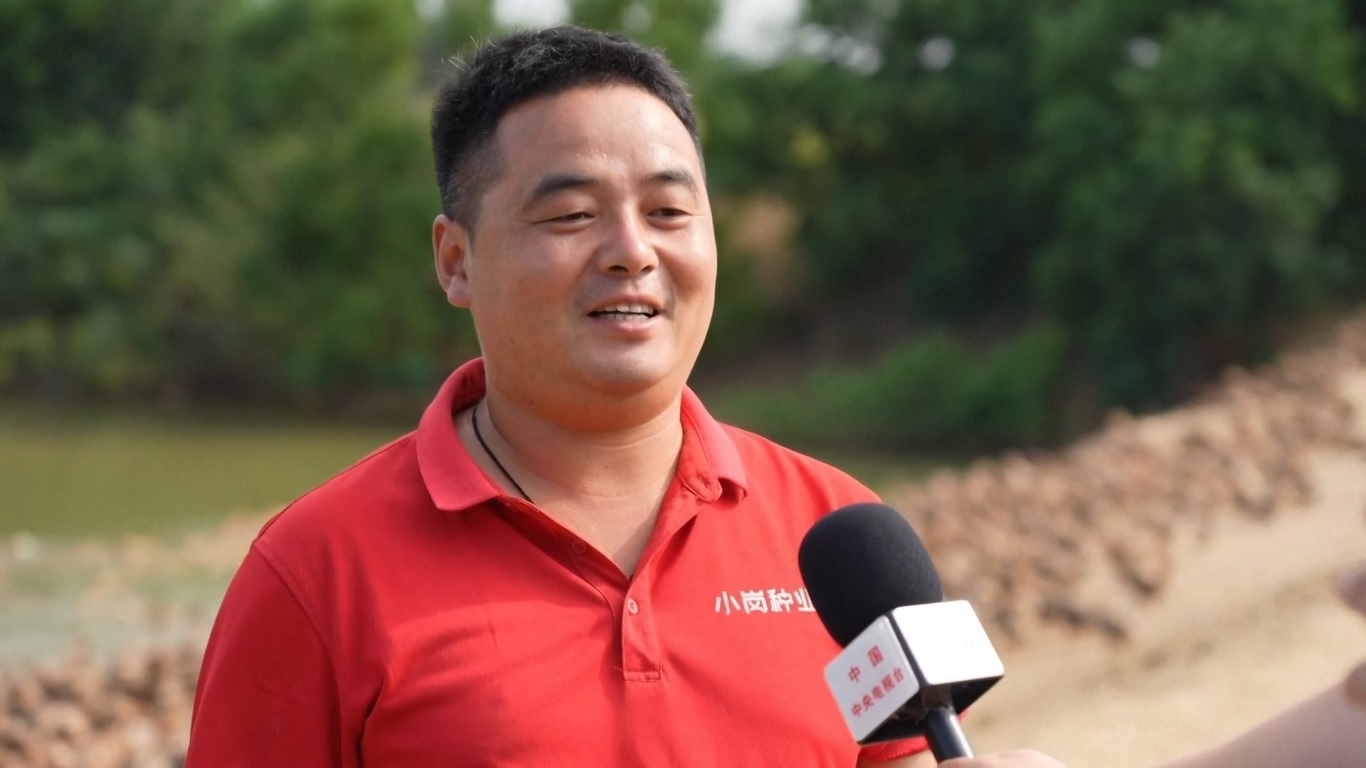 Desa Xiaogang Jajaki Jalur Pembangunan Berkelanjutan sebagai Cikal Bakal Reformasi Pedesaan Tiongkok