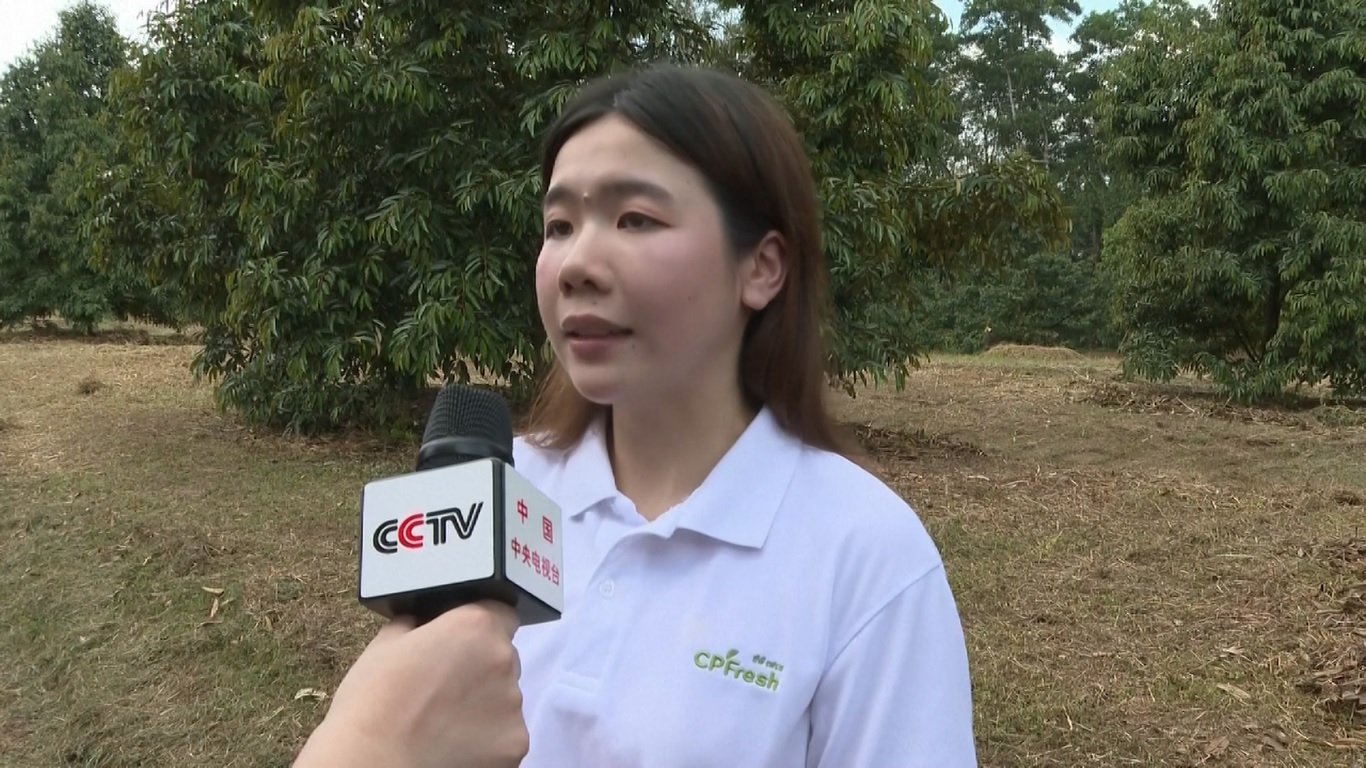 Thailand adalah salah satu produsen dan eksportir durian terkemuka di dunia dan negara pertama yang diizinkan untuk mengekspor durian segar secara langsung ke Tiongkok