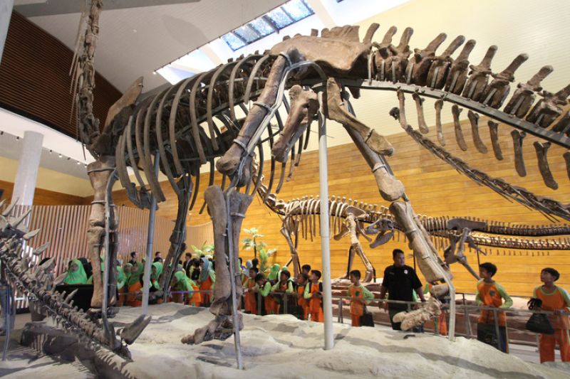 Fosil Dinosaurus Perdalam Pertukaran Ilmiah Tiongkok dan Indonesia