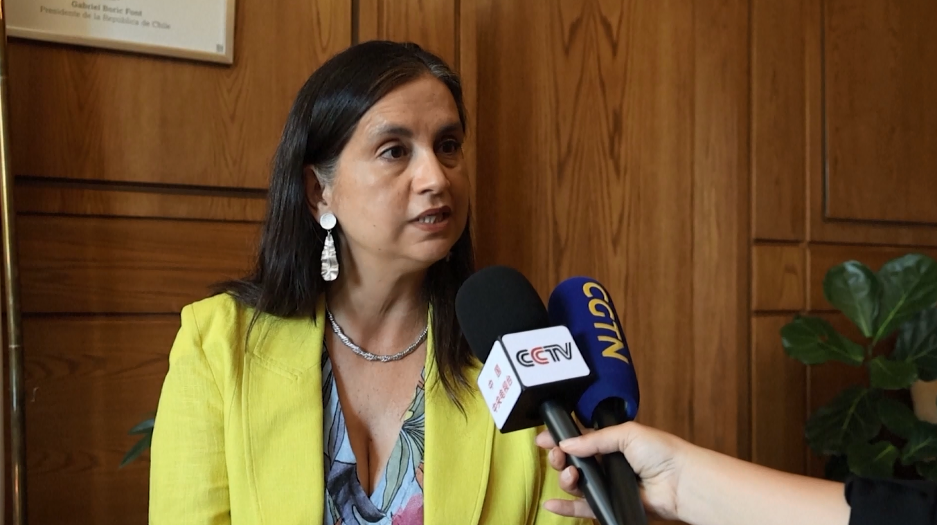 Chili Rayakan Panen Ceri yang Melimpah, 90 Persen Diekspor ke Tiongkok