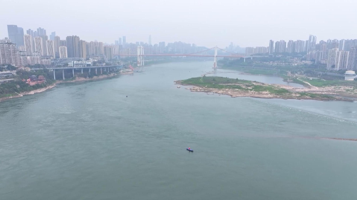 Upaya Selama Satu Dekade Mengubah Ekosistem di Sepanjang Bagian Chongqing dari Sungai Yangtze