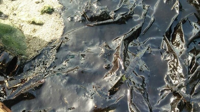 Tumpahan minyak hitam lekat mengotori perairan sekitar Pulau Harapan dan Pulau Kepala