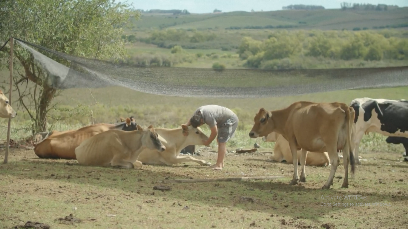 Keluarga petani di Brazil selatan yang dilanda kekeringan tanpa henti berjuang untuk memenuhi kebutuhan tanpa air yang cukup untuk tanaman