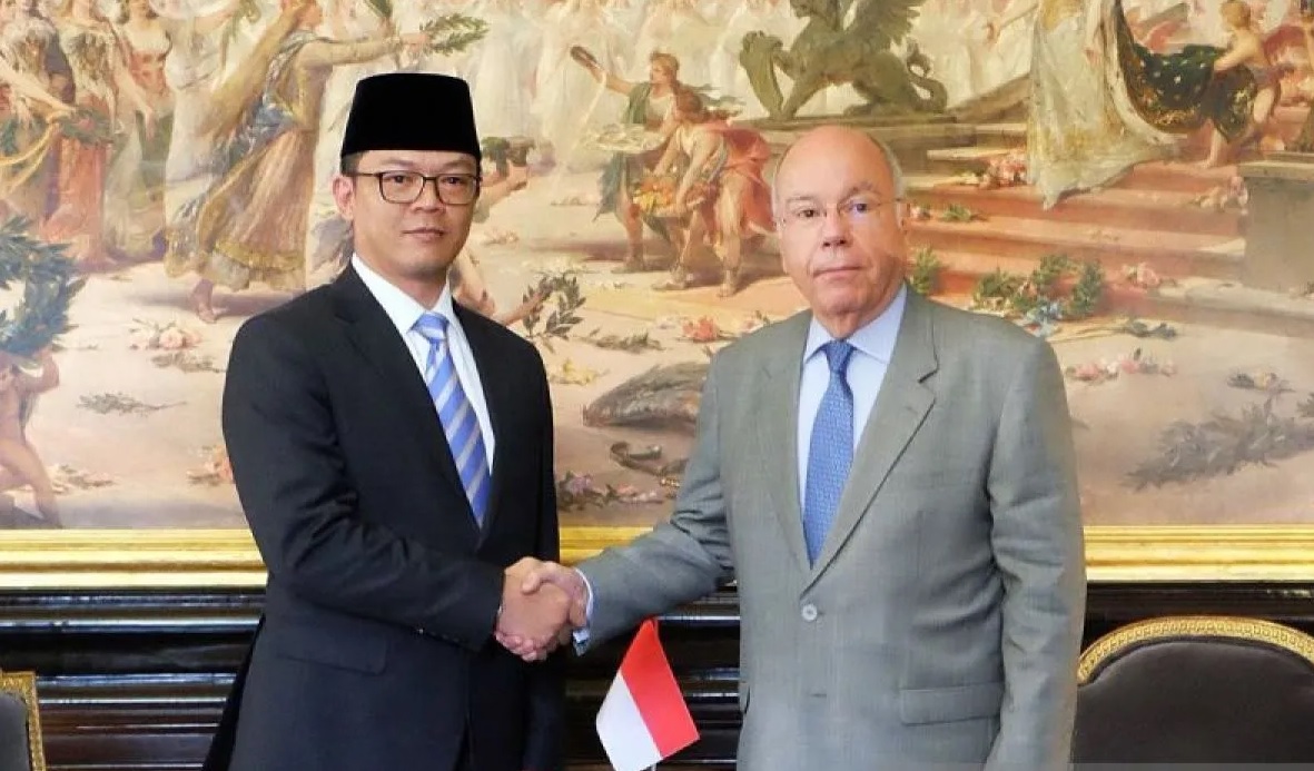 Sebagai mitra strategis dan sesama kekuatan menengah (middle power)