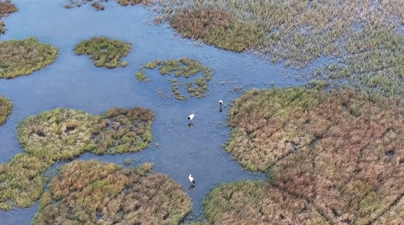 Luas Lahan Basah Tiongkok Tempati Peringkat Pertama di Asia dan Keempat di Dunia