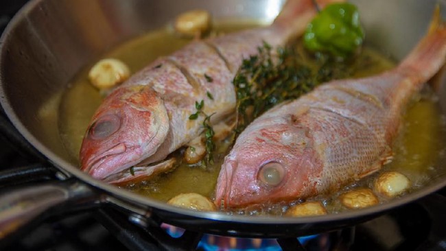 Ikan dikenal sebagai salah satu sumber protein yang punya segudang manfaat untuk kesehatan