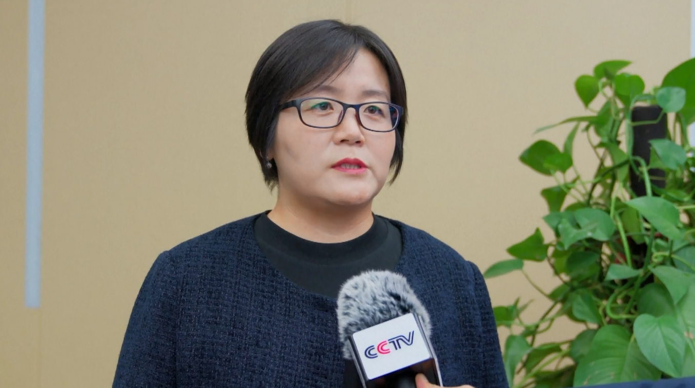 Pengoperasian Jalan Tol Urumqi-Yuli Berhasil Perluas Jaringan Jalan di Xinjiang