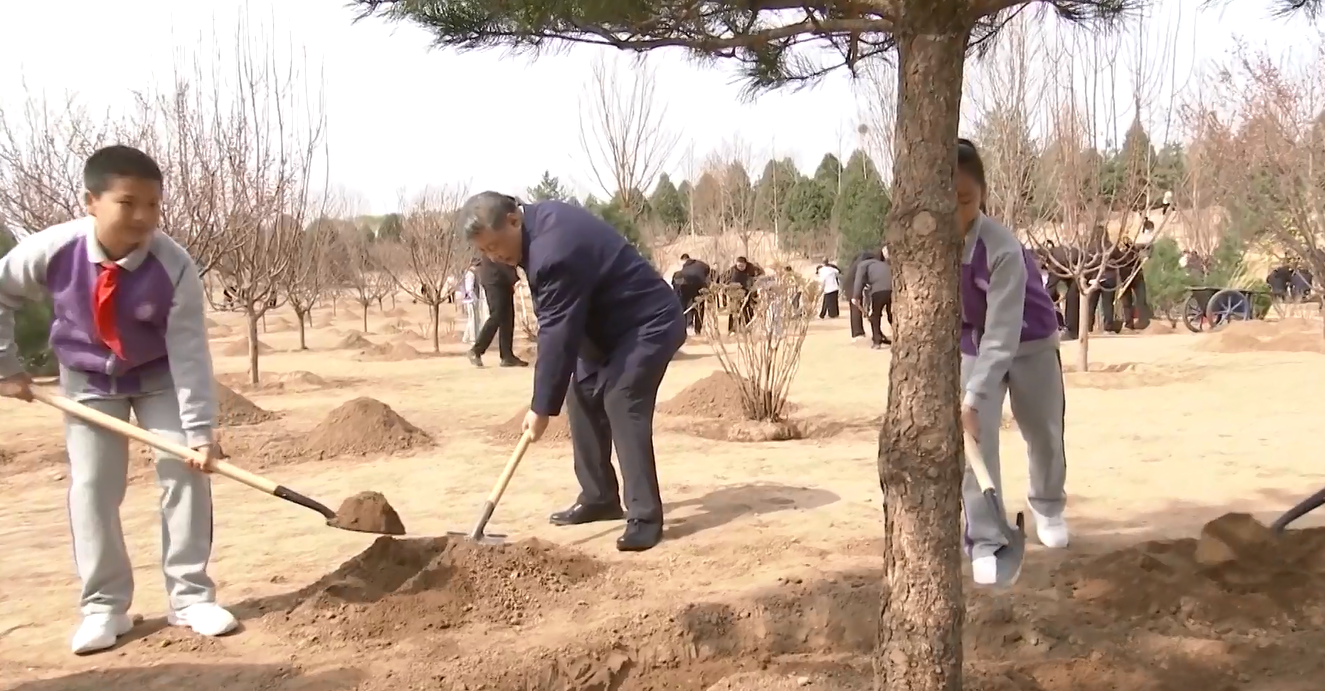 Xi Jinping Bergabung dengan Warga Beijing untuk Menanam Pohon seiring Tiongkok Berupaya menuju Masa Depan yang Lebih Hijau