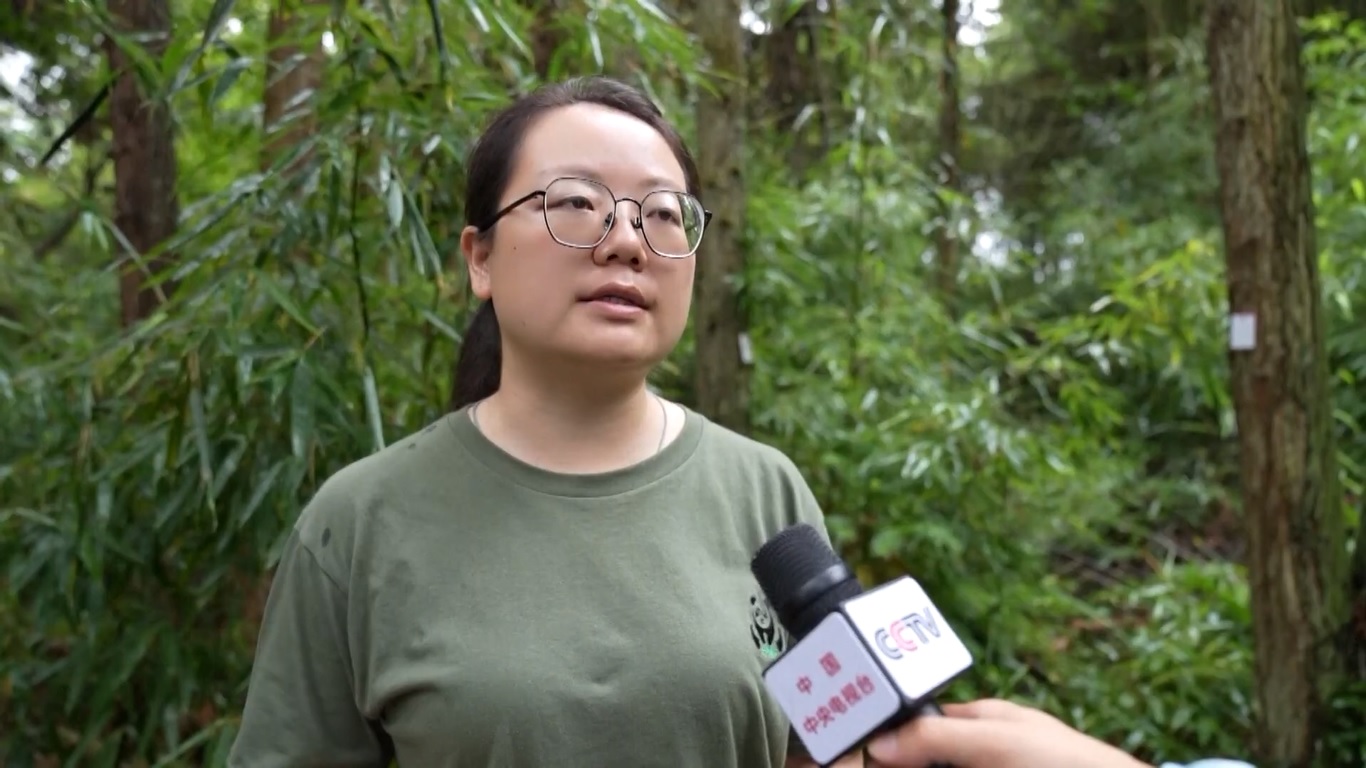 Selama beberapa dekade terakhir