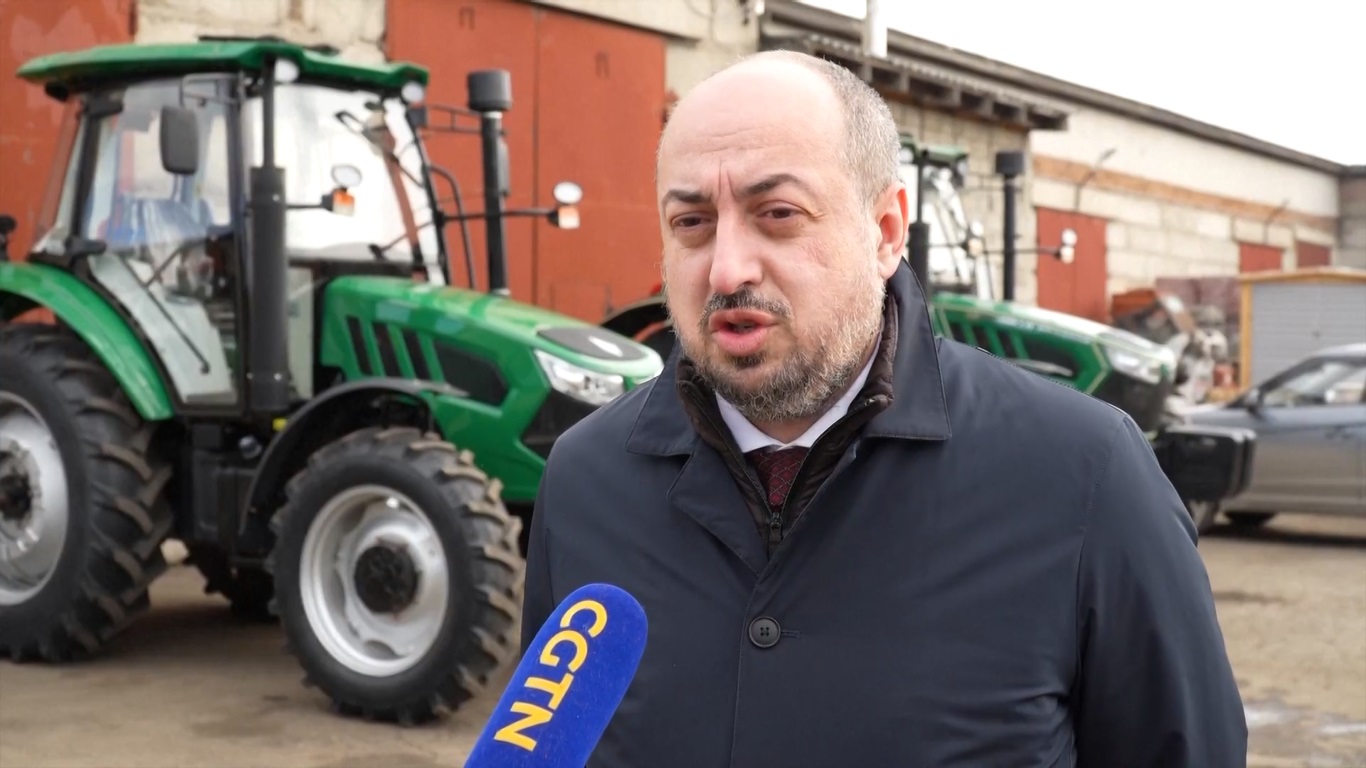 Di wilayah Krasnoyarsk Rusia yang terkenal dengan ladang rapeseed yang luas