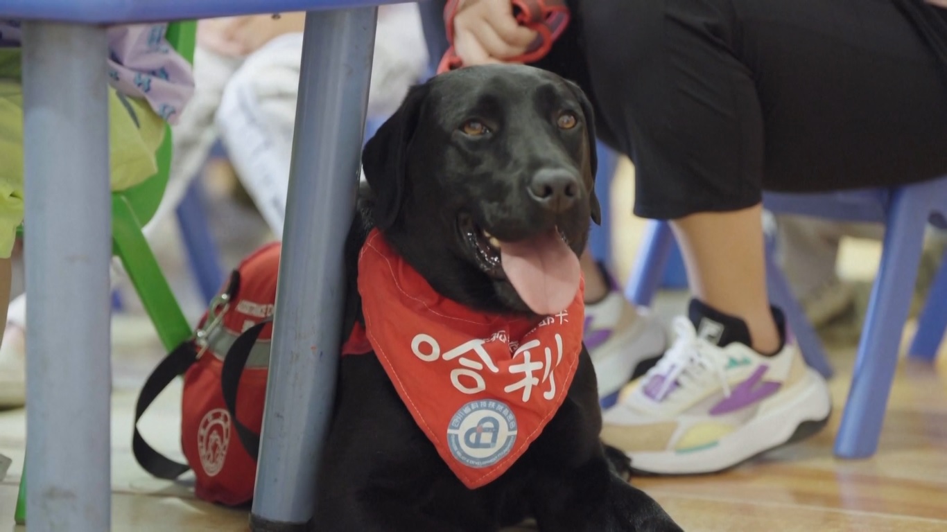 Tingkat prevalensi autisme di antara anak-anak di Tiongkok