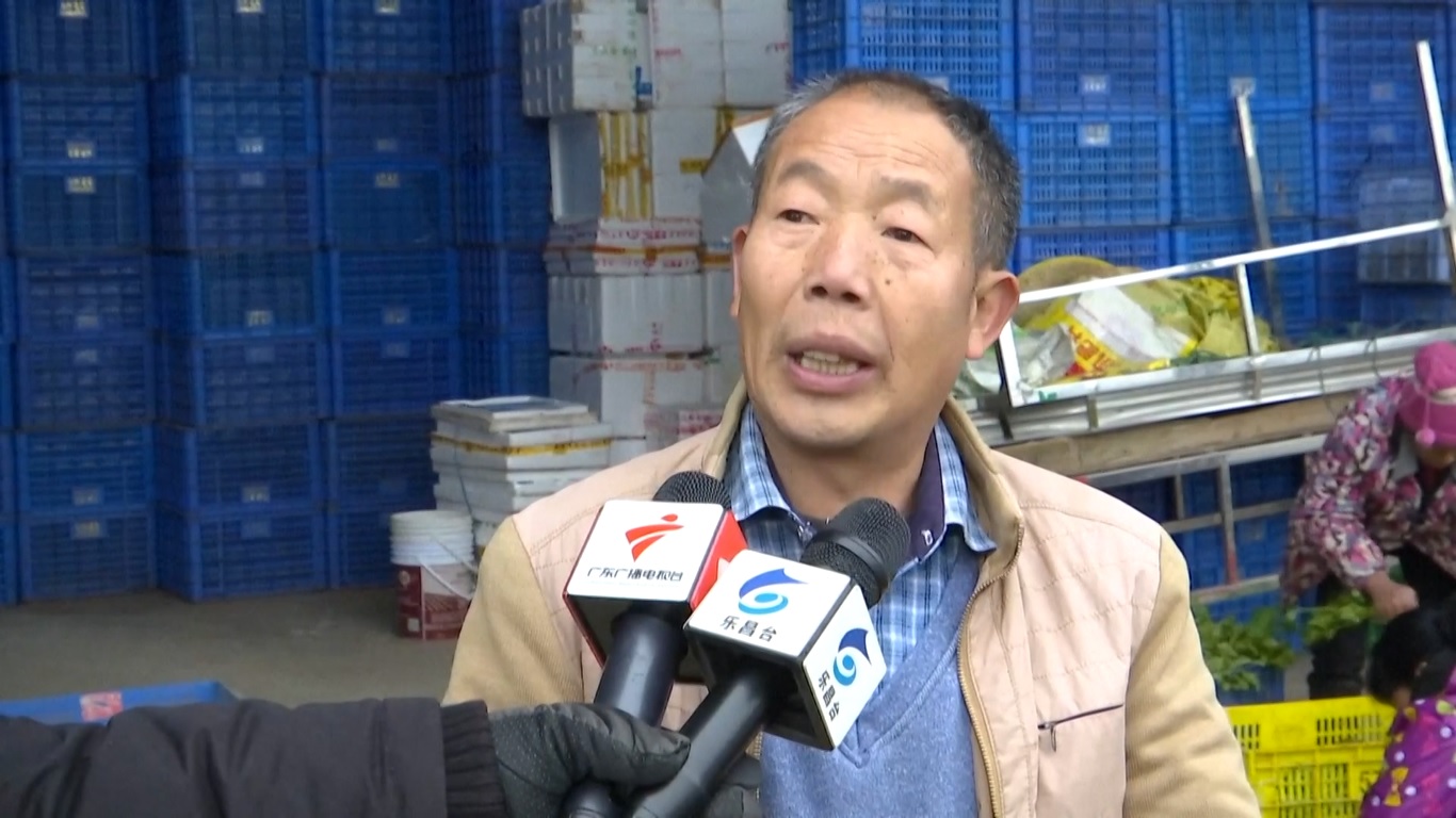 Butiran salju mulai turun di Hefei
