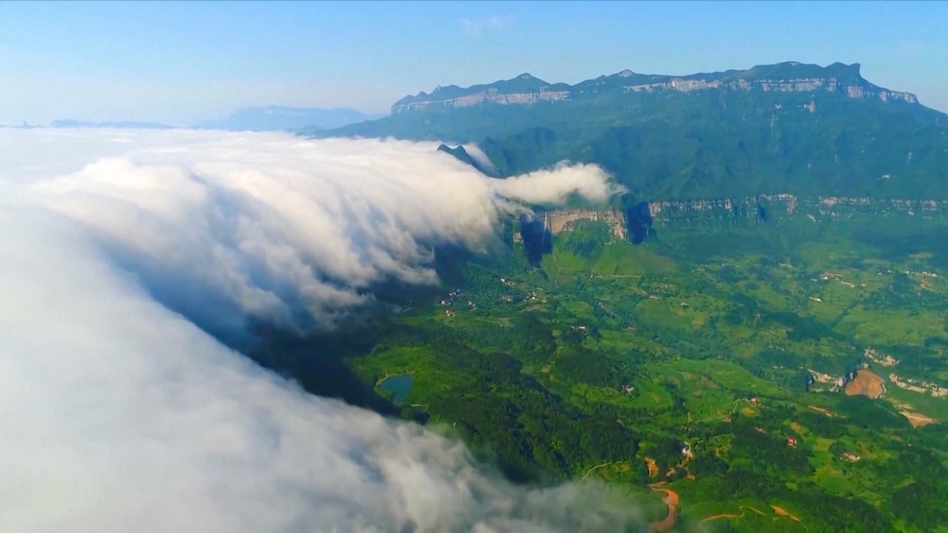 Tiongkok telah menyumbang sekitar seperempat dari ruang hijau baru di dunia dalam dua dekade terakhir