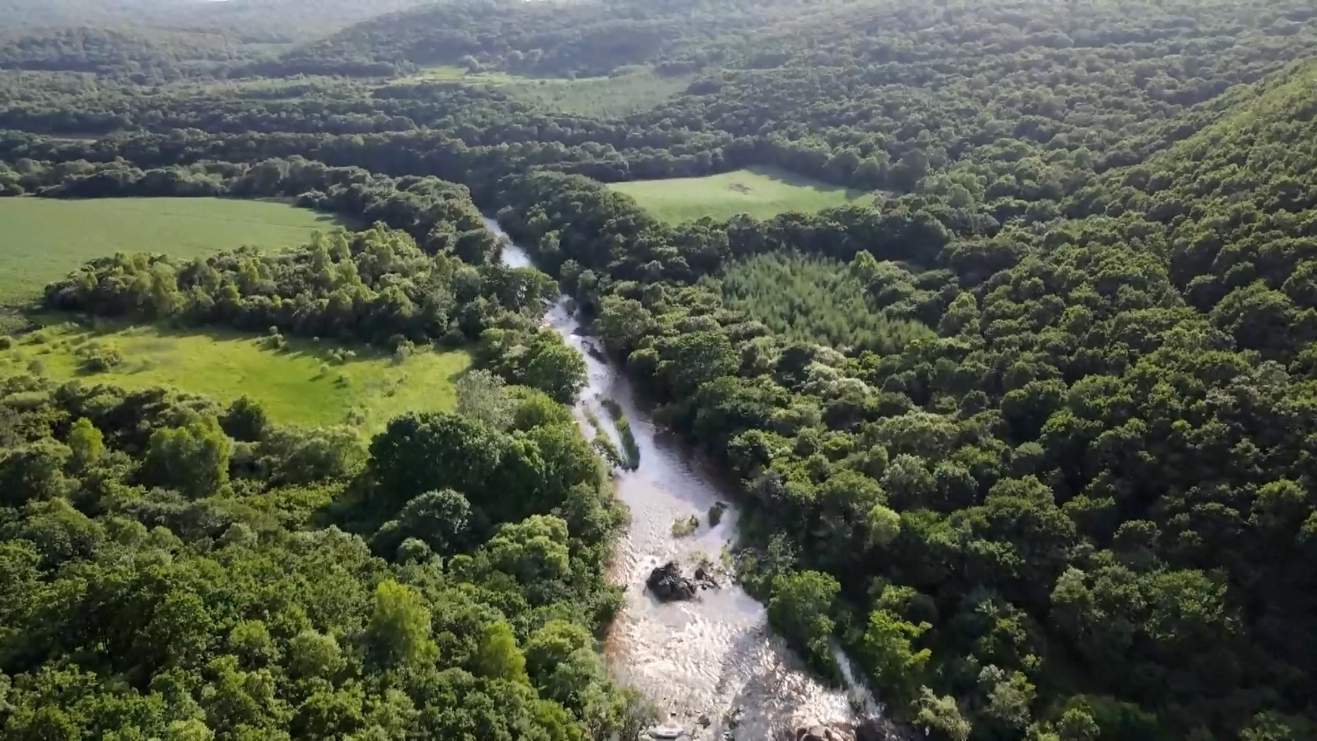 Taman nasional ini menyediakan habitat bagi lebih dari 80 persen spesies satwa liar utama yang dilindungi negara