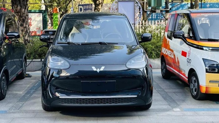 Brand &amp; Marketing Director Wuling Motors Indonesia