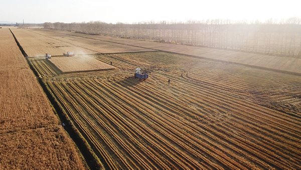 Provinsi Heilongjiang akan terus berusaha untuk membuat terobosan baru dalam revitalisasi secara keseluruhan dan meningkatkan kekuatannya dalam menjaga ketahanan pangan