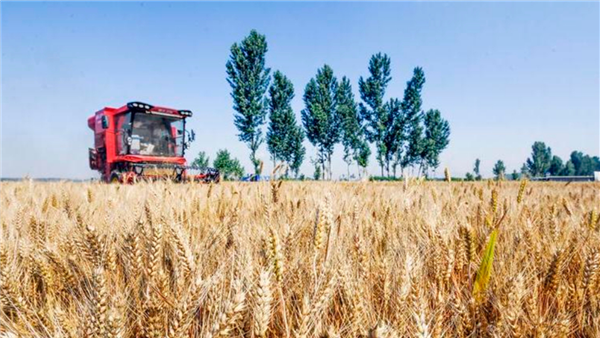 Sebagai negara dengan populasi hampir seperlima populasi dunia