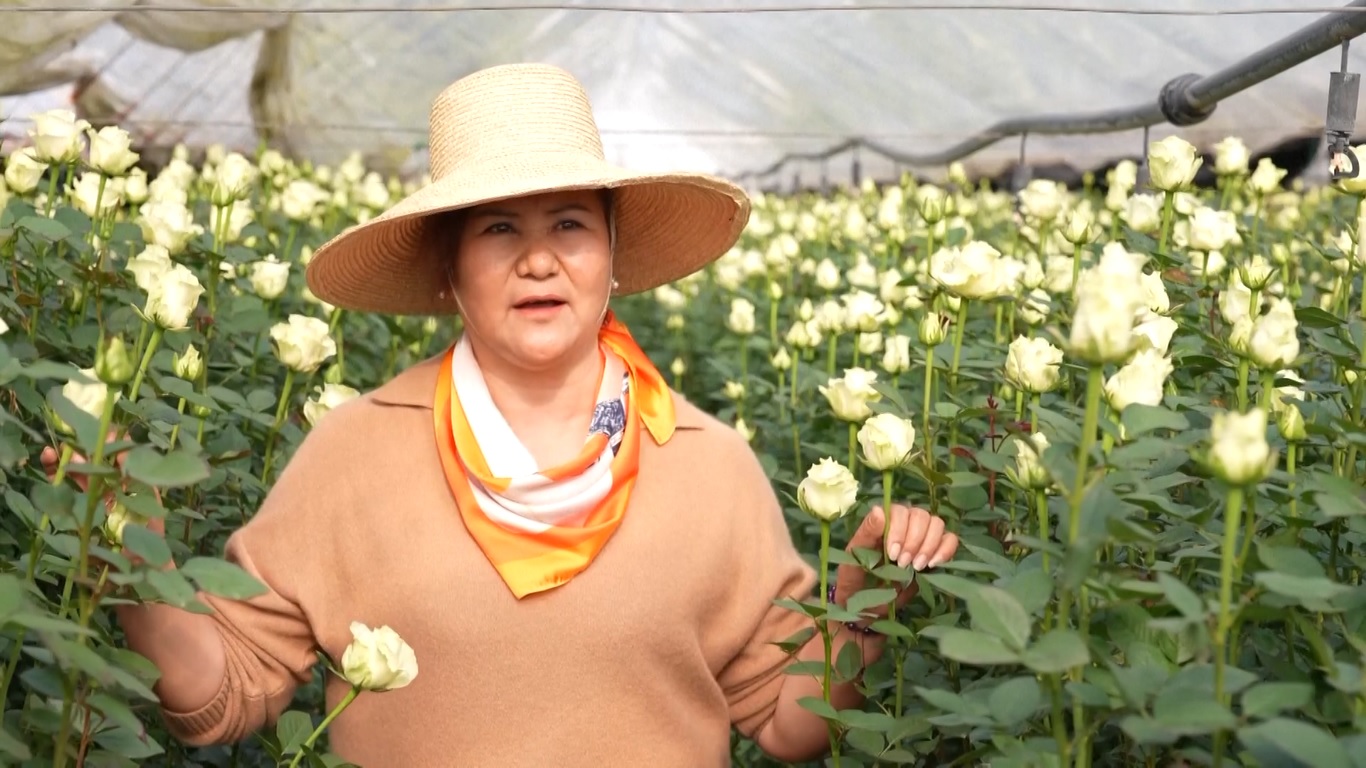 Menurut Bea Cukai Kunming