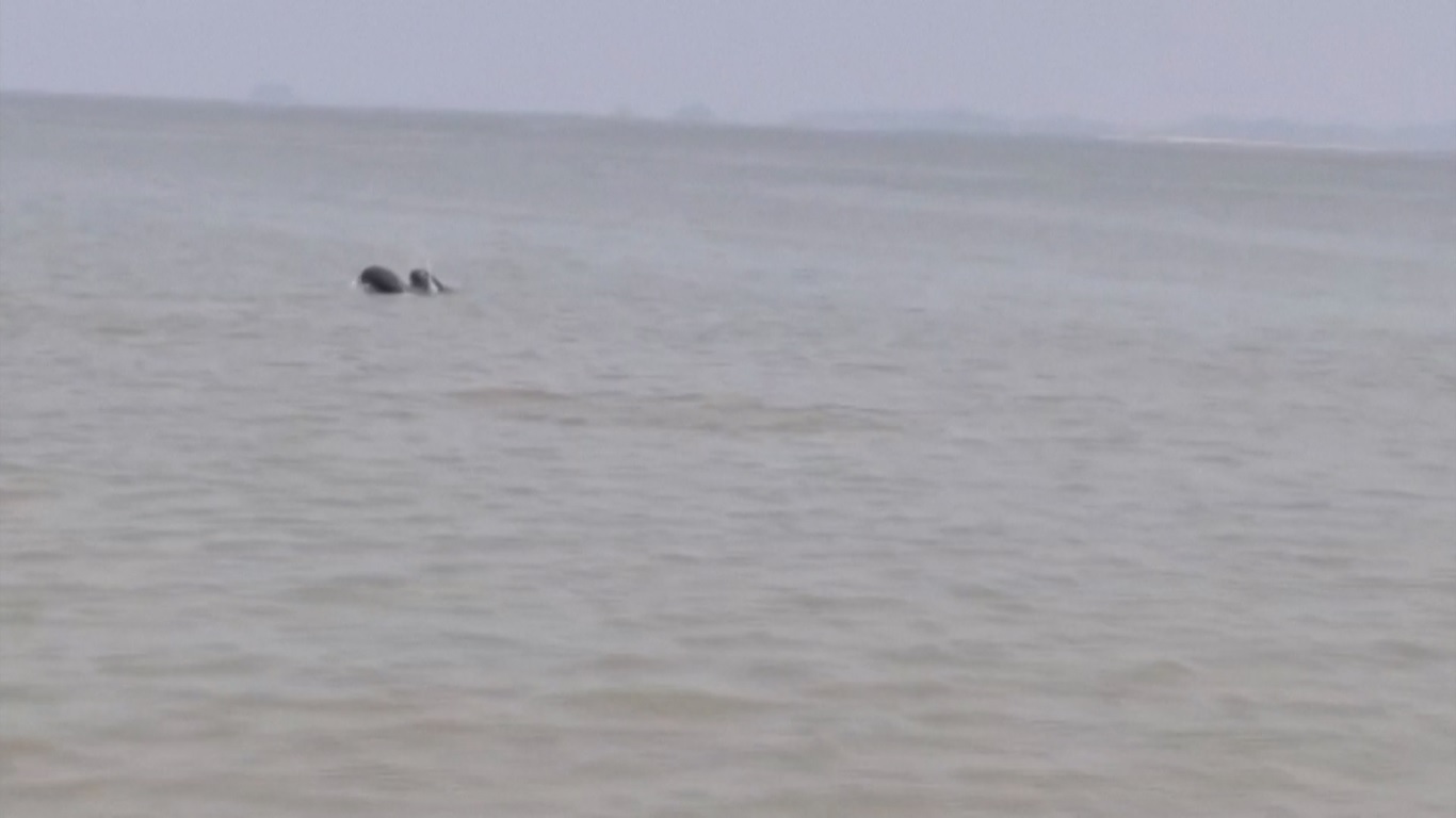 Sebagai danau yang penting dalam mengatur dan menyimpan air di aliran utama Sungai Yangtze