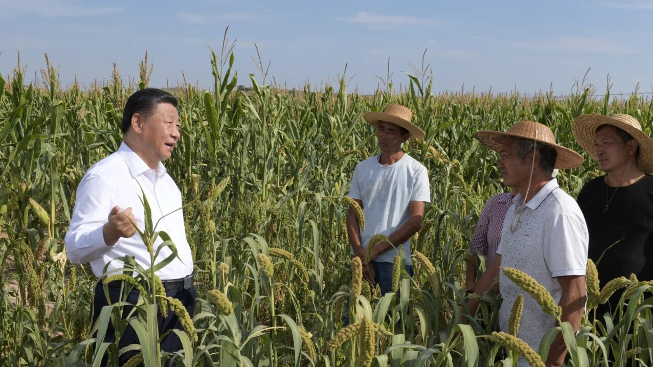 Bagaimana Masa Kecil Xi Jinping di Pedesaan Membentuk Komitmen Abadi untuk Meningkatkan Kehidupan
