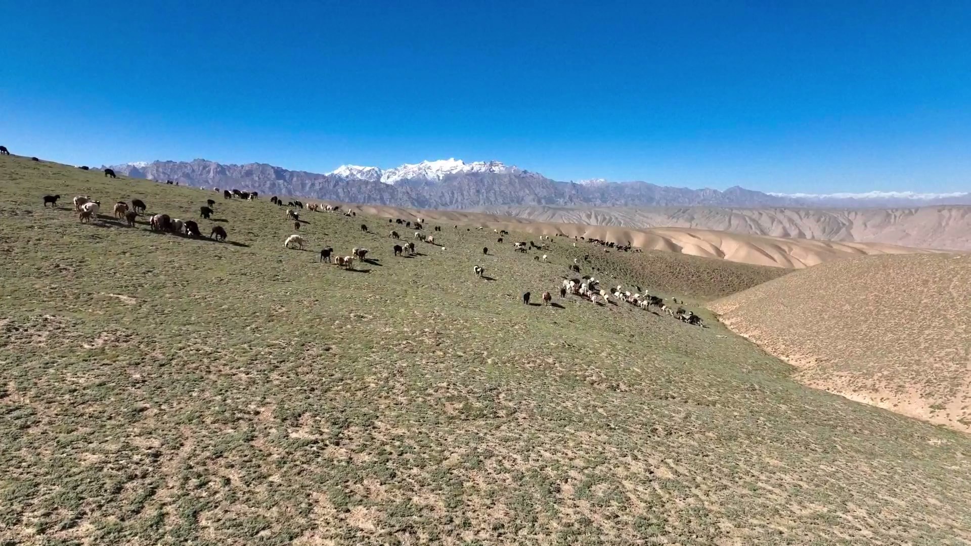 Para penggembala di Daerah Otonomi Uighur Xinjiang