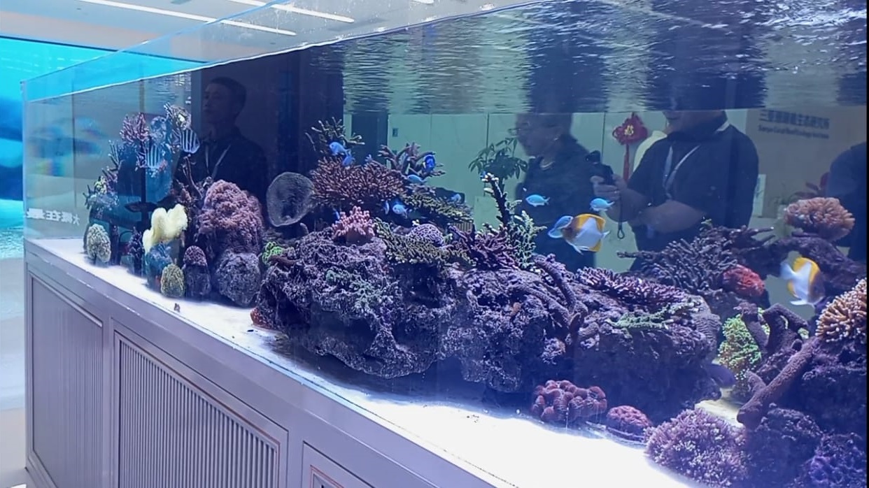 Institut Ekologi Terumbu Karang Sanya Mengedukasi Pentingnya Memelihara Kelestarian Ekosistem Laut