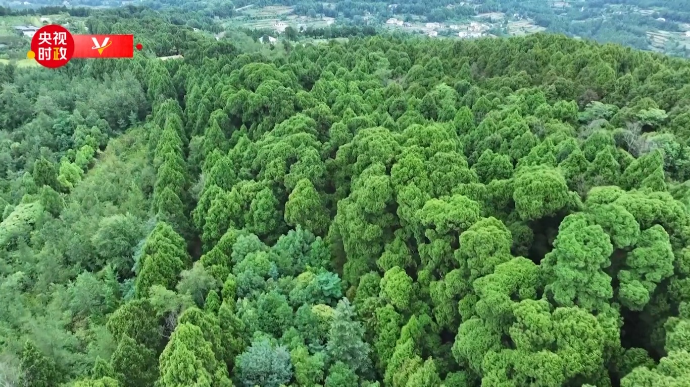 Cuiyunlang sepanjang 150 kilometer lebih