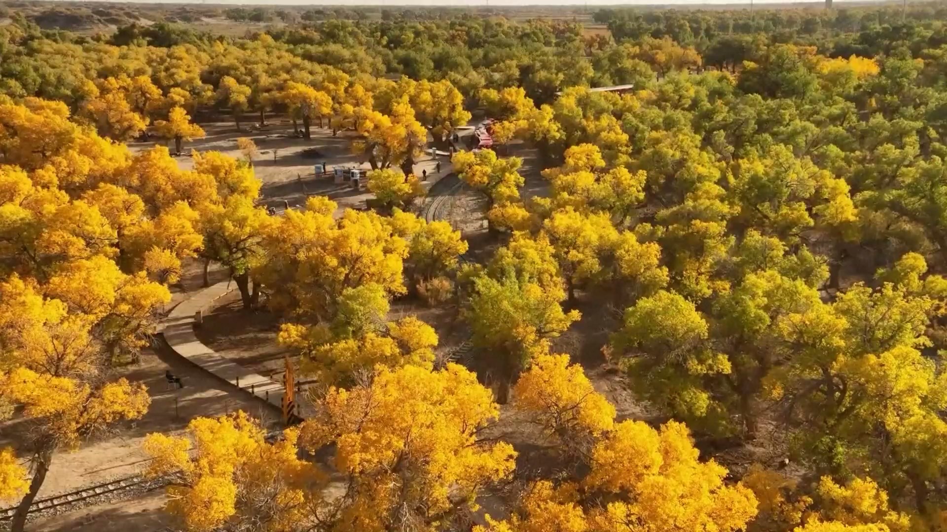 Pemandangan Musim Gugur Menarik Banyak Orang ke Tempat-Tempat Indah di Tiongkok Selama Liburan Hari Nasional